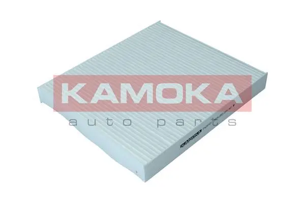Filter, cabin air (F420101)