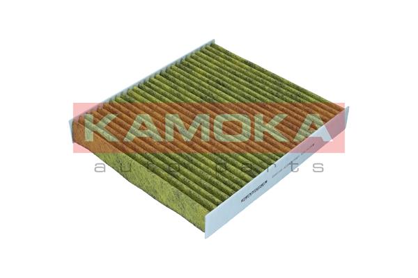 Filter, cabin air (6080184)