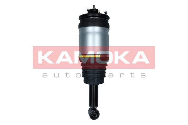 Air Suspension Strut