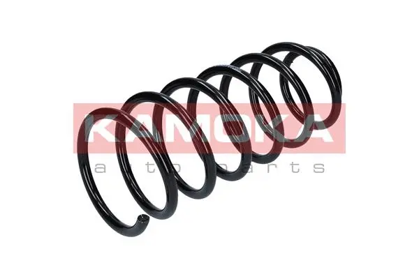 Suspension Spring (2110248)