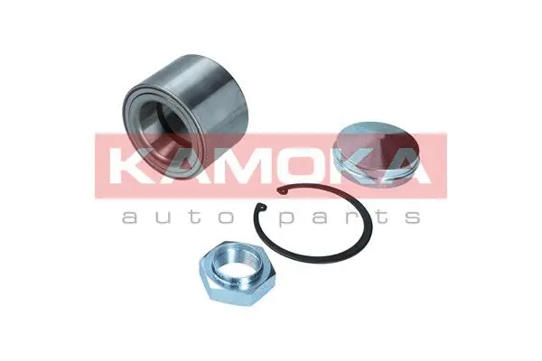 Wheel Bearing Kit (5600126)
