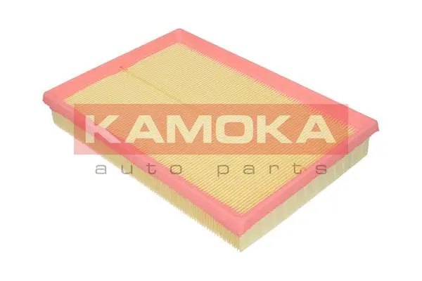 Air Filter (F202901)