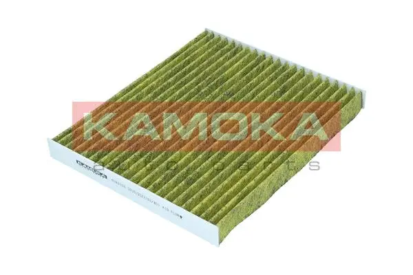 Filter, cabin air (6080158)