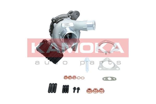 Charger, charging (supercharged/turbocharged) (8600075)