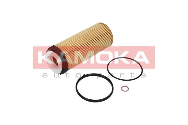 Oil Filter (F110801)