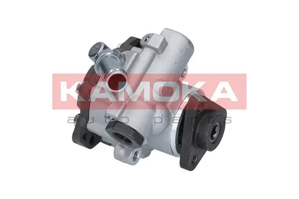Hydraulic Pump, steering (PP029)