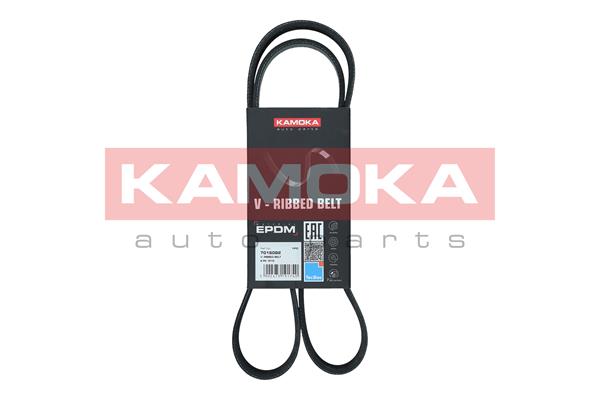 V-Ribbed Belt (7016082)
