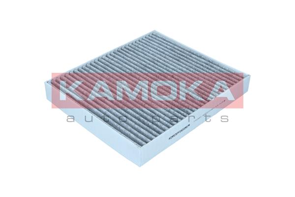 Filter, cabin air (F523001)