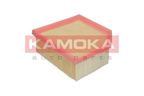 Air Filter (F228301)