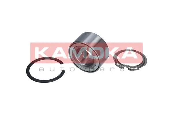 Wheel Bearing Kit (5600053)