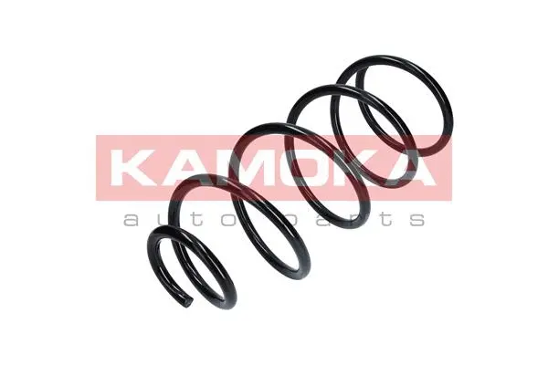 Suspension Spring (2110345)