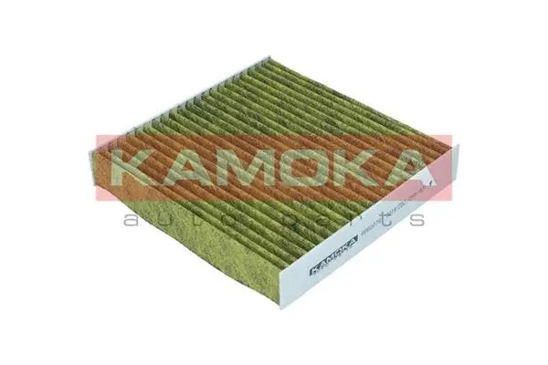 Filter, cabin air (6080076)