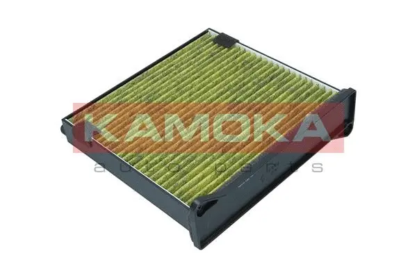 Filter, cabin air (6080052)