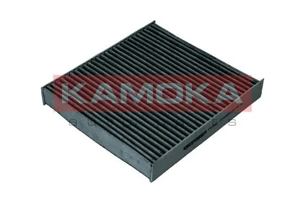 Filter, cabin air (F513401)