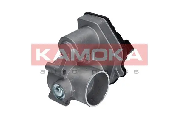Throttle Body (112024)