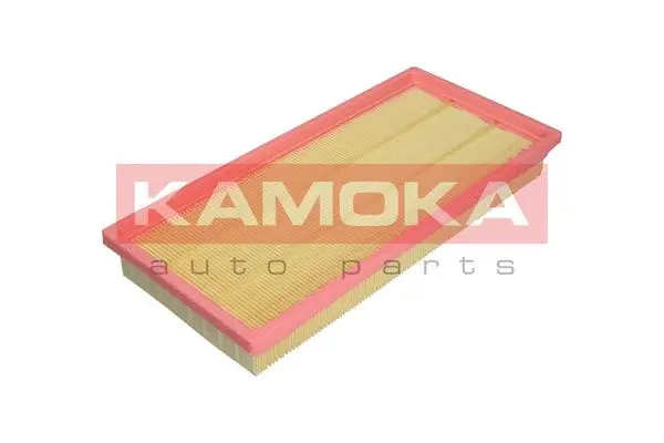 Air Filter (F224101)