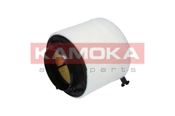 Air Filter (F215701)
