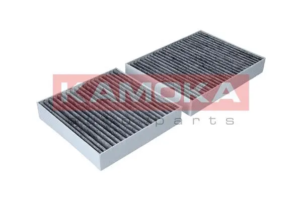 Filter, cabin air (F506101)