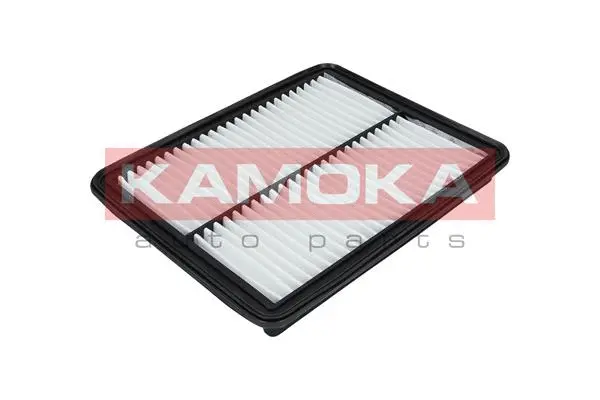 Air Filter (F233101)