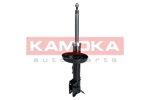 Shock Absorber (2000174)