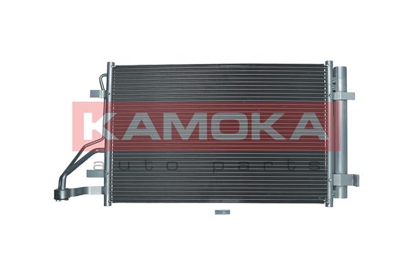 Condenser, air conditioning (7800338)