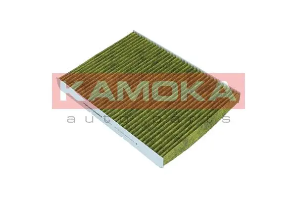 Filter, cabin air (6080002)