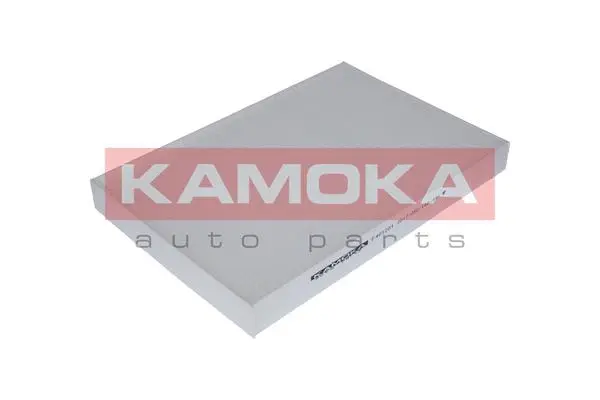 Filter, cabin air (F401201)