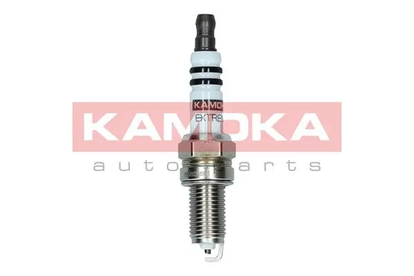 Spark Plug (7090522)