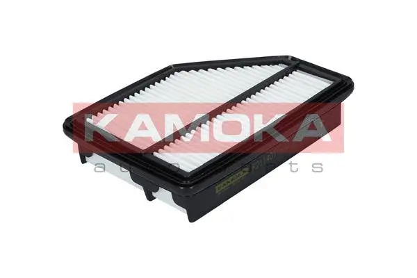 Air Filter (F211401)