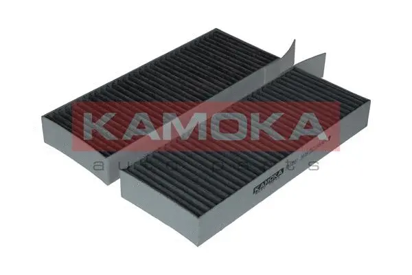 Filter, cabin air (F514101)