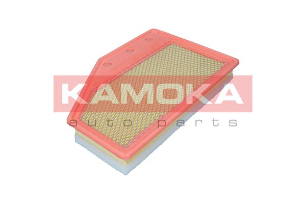 Air Filter (F258201)
