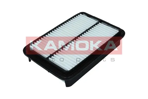 Air Filter (F249001)