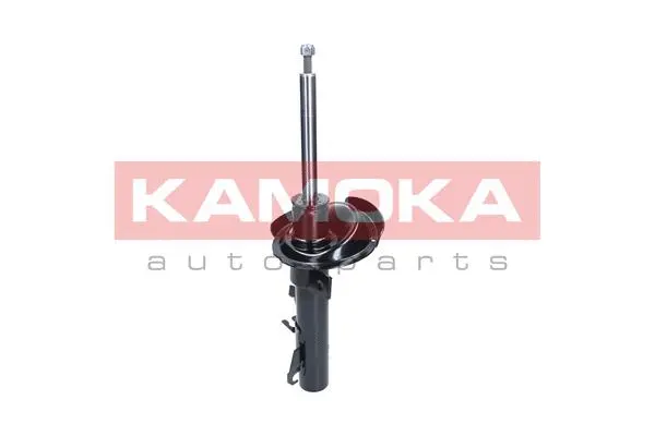 Shock Absorber (2000393)