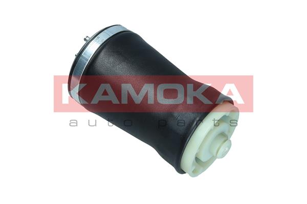 Air Spring, suspension