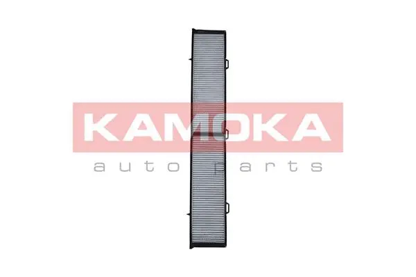 Filter, cabin air (F505901)