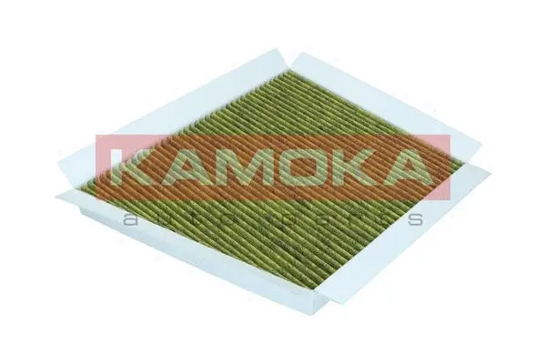 Filter, cabin air (6080028)