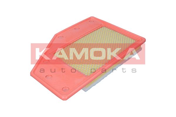 Air Filter (F258101)