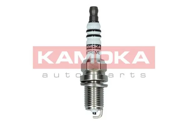 Spark Plug (7090506)