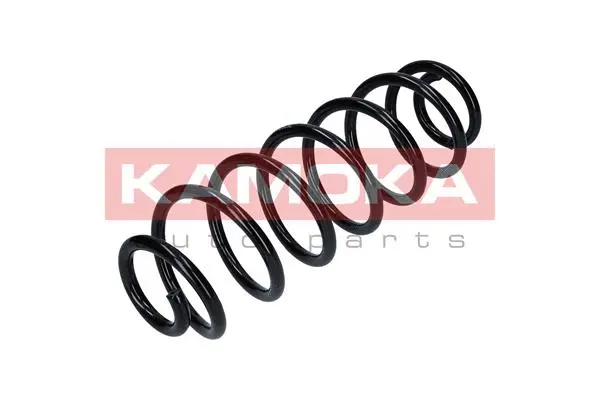 Suspension Spring (2120246)