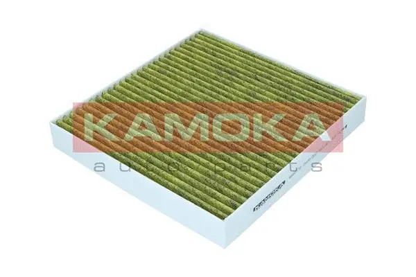 Filter, cabin air (6080170)
