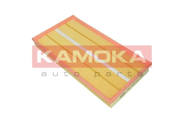 Air Filter (F249401)