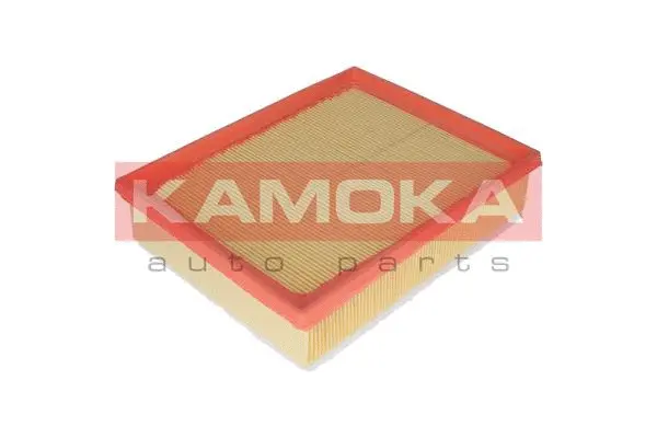 Air Filter (F231601)