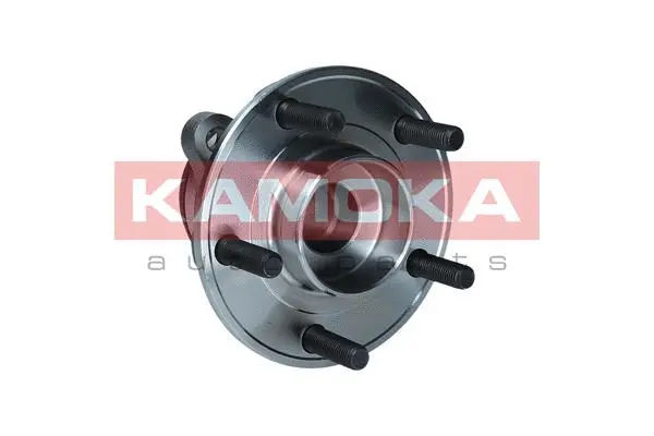 Wheel Bearing Kit (5500258)