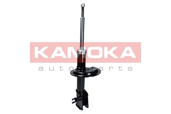 Shock Absorber (2000299)