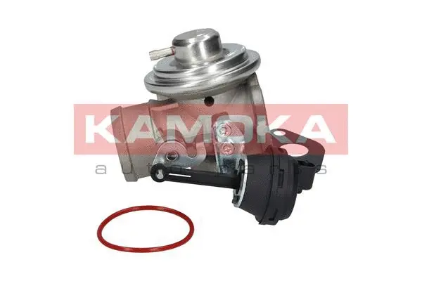EGR Valve