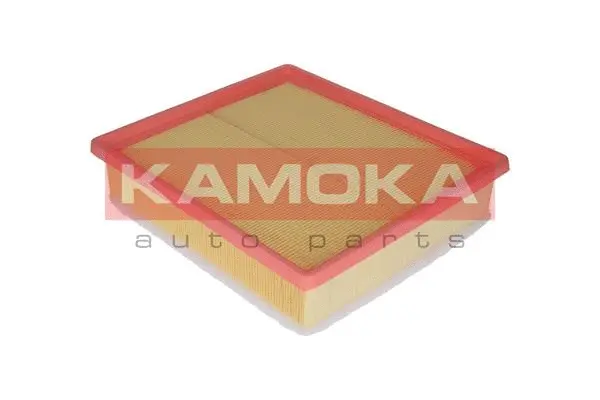 Air Filter (F209701)