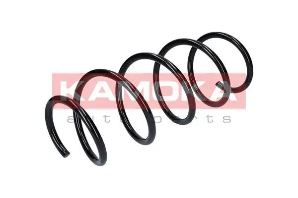 Suspension Spring (2110237)