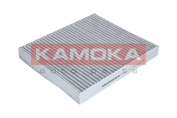 Filter, cabin air (F503301)