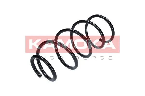 Suspension Spring (2110114)