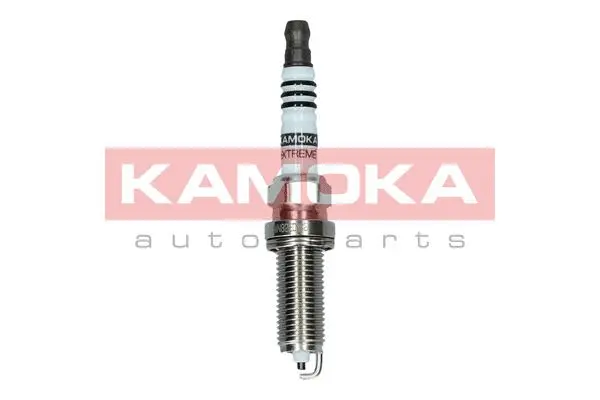 Spark Plug (7090530)